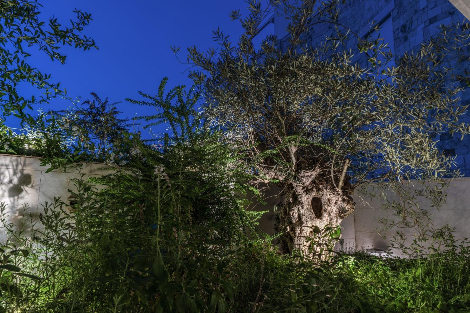 Olea Boutique Suites Polignano Polignano a Mare Esterno foto